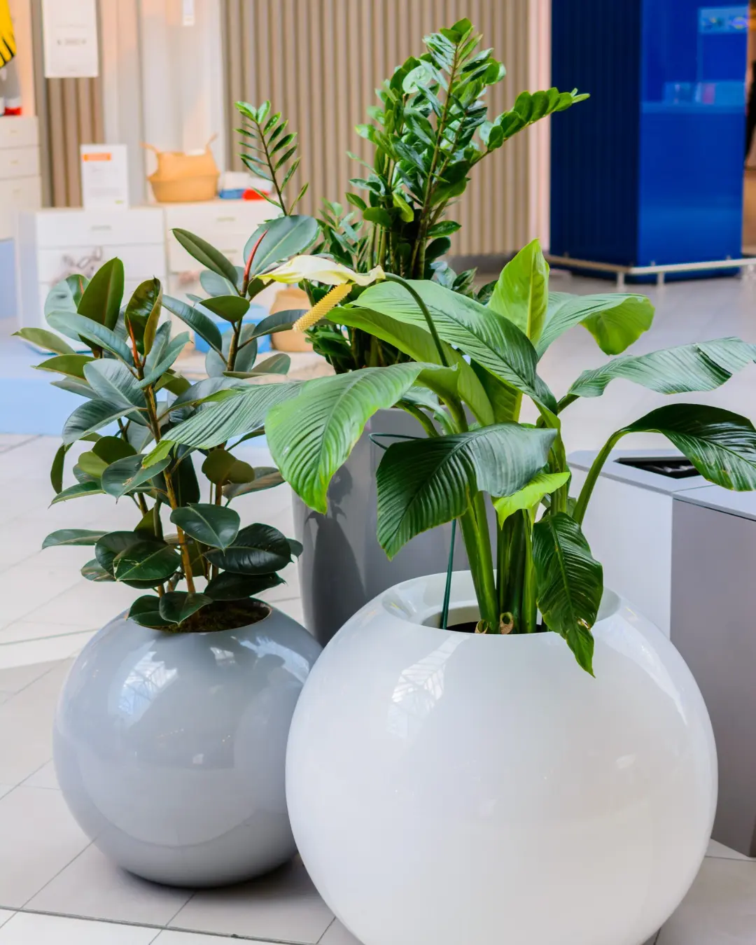 mk-artificial-plants-1